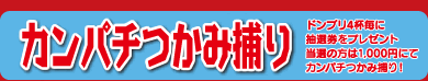 カンパチつかみ捕り