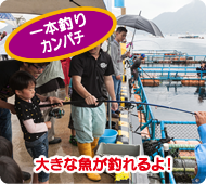 一本釣りカンパチ