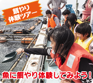 餌やり体験ツアー