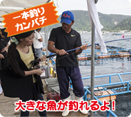 一本釣りカンパチ
