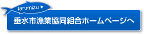 垂水市漁業協同組合ホームページへ